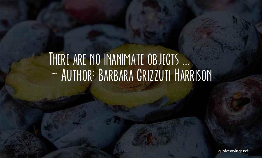 Barbara Grizzuti Harrison Quotes: There Are No Inanimate Objects ...