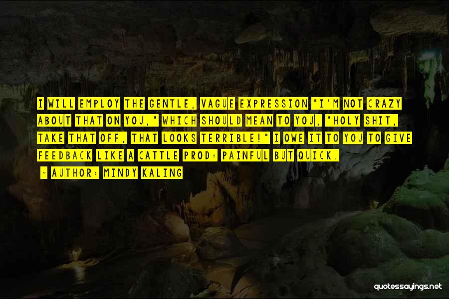 Mindy Kaling Quotes: I Will Employ The Gentle, Vague Expression I'm Not Crazy About That On You, Which Should Mean To You, Holy