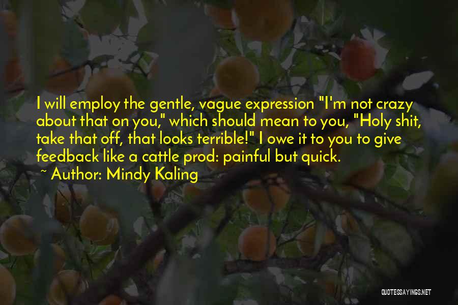 Mindy Kaling Quotes: I Will Employ The Gentle, Vague Expression I'm Not Crazy About That On You, Which Should Mean To You, Holy