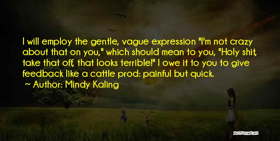 Mindy Kaling Quotes: I Will Employ The Gentle, Vague Expression I'm Not Crazy About That On You, Which Should Mean To You, Holy