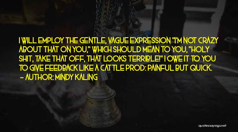 Mindy Kaling Quotes: I Will Employ The Gentle, Vague Expression I'm Not Crazy About That On You, Which Should Mean To You, Holy