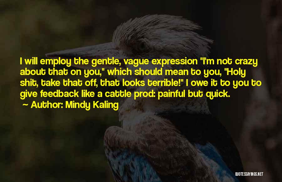 Mindy Kaling Quotes: I Will Employ The Gentle, Vague Expression I'm Not Crazy About That On You, Which Should Mean To You, Holy