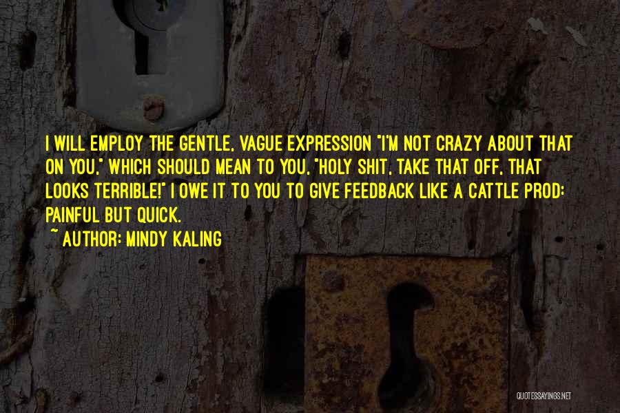 Mindy Kaling Quotes: I Will Employ The Gentle, Vague Expression I'm Not Crazy About That On You, Which Should Mean To You, Holy