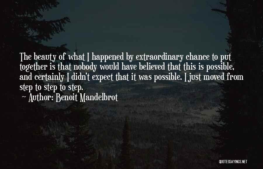 Benoit Mandelbrot Quotes: The Beauty Of What I Happened By Extraordinary Chance To Put Together Is That Nobody Would Have Believed That This