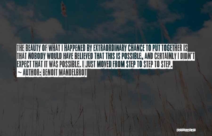 Benoit Mandelbrot Quotes: The Beauty Of What I Happened By Extraordinary Chance To Put Together Is That Nobody Would Have Believed That This