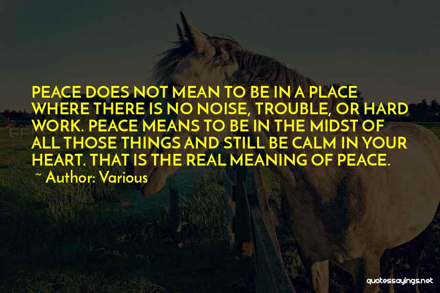 Various Quotes: Peace Does Not Mean To Be In A Place Where There Is No Noise, Trouble, Or Hard Work. Peace Means