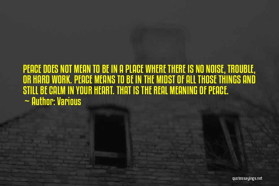 Various Quotes: Peace Does Not Mean To Be In A Place Where There Is No Noise, Trouble, Or Hard Work. Peace Means