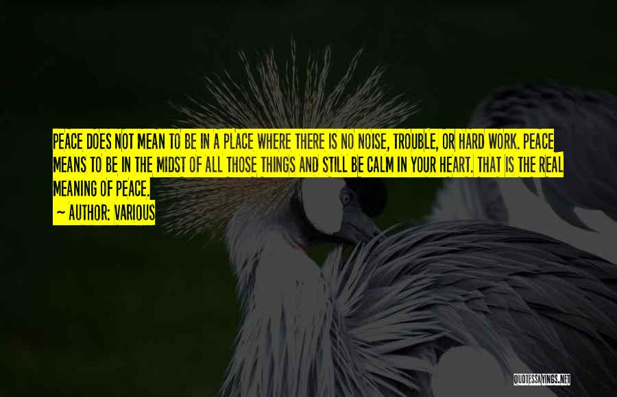 Various Quotes: Peace Does Not Mean To Be In A Place Where There Is No Noise, Trouble, Or Hard Work. Peace Means