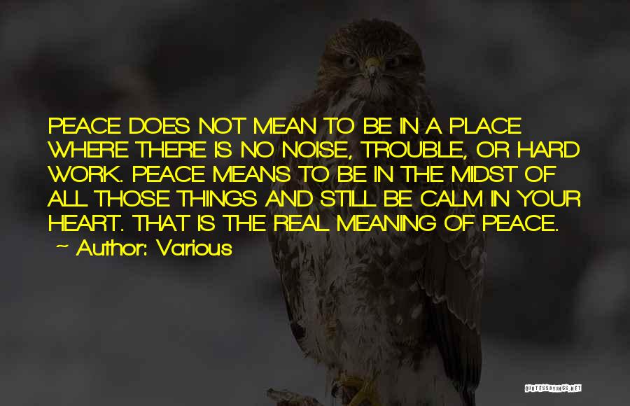 Various Quotes: Peace Does Not Mean To Be In A Place Where There Is No Noise, Trouble, Or Hard Work. Peace Means