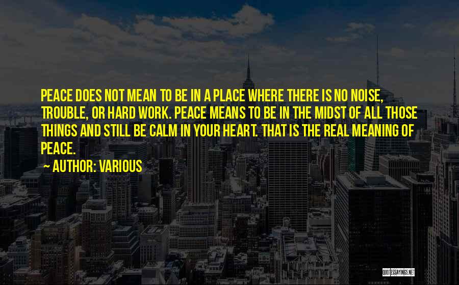 Various Quotes: Peace Does Not Mean To Be In A Place Where There Is No Noise, Trouble, Or Hard Work. Peace Means