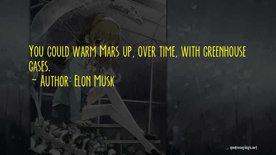 Elon Musk Quotes: You Could Warm Mars Up, Over Time, With Greenhouse Gases.