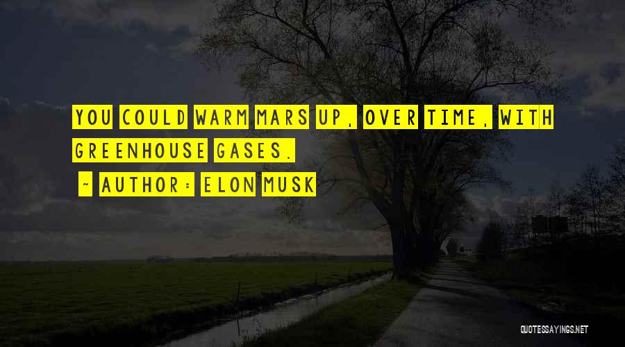 Elon Musk Quotes: You Could Warm Mars Up, Over Time, With Greenhouse Gases.