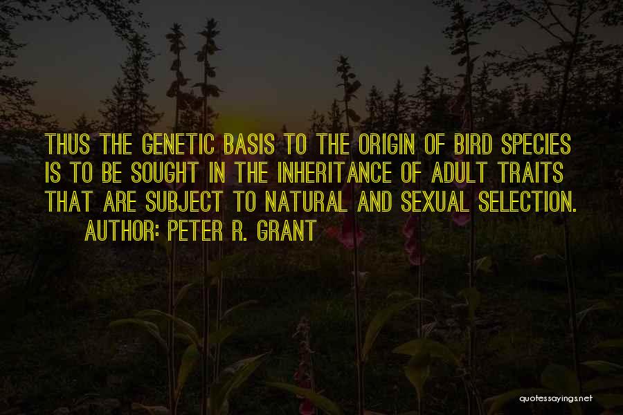 Peter R. Grant Quotes: Thus The Genetic Basis To The Origin Of Bird Species Is To Be Sought In The Inheritance Of Adult Traits