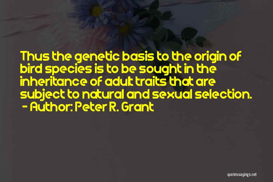 Peter R. Grant Quotes: Thus The Genetic Basis To The Origin Of Bird Species Is To Be Sought In The Inheritance Of Adult Traits