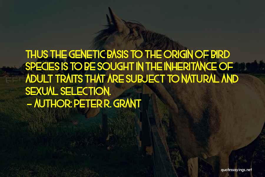 Peter R. Grant Quotes: Thus The Genetic Basis To The Origin Of Bird Species Is To Be Sought In The Inheritance Of Adult Traits