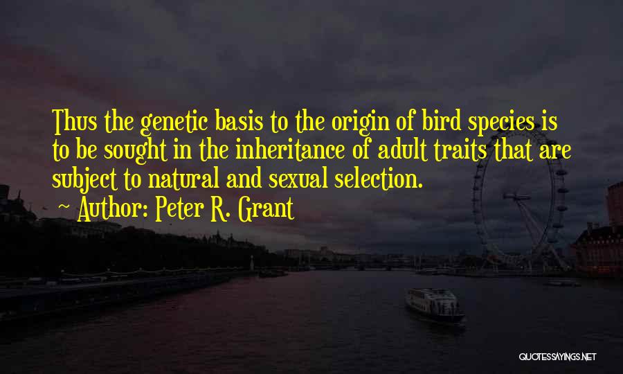 Peter R. Grant Quotes: Thus The Genetic Basis To The Origin Of Bird Species Is To Be Sought In The Inheritance Of Adult Traits