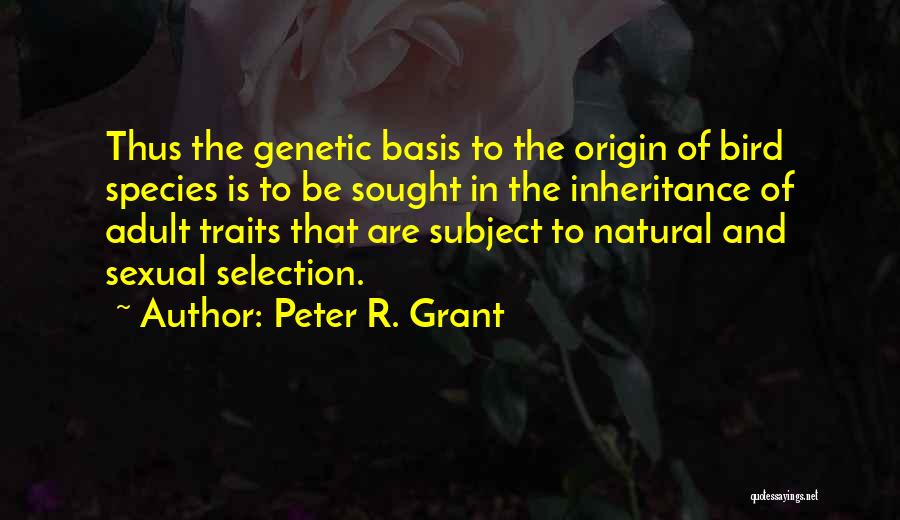 Peter R. Grant Quotes: Thus The Genetic Basis To The Origin Of Bird Species Is To Be Sought In The Inheritance Of Adult Traits