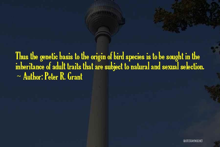 Peter R. Grant Quotes: Thus The Genetic Basis To The Origin Of Bird Species Is To Be Sought In The Inheritance Of Adult Traits