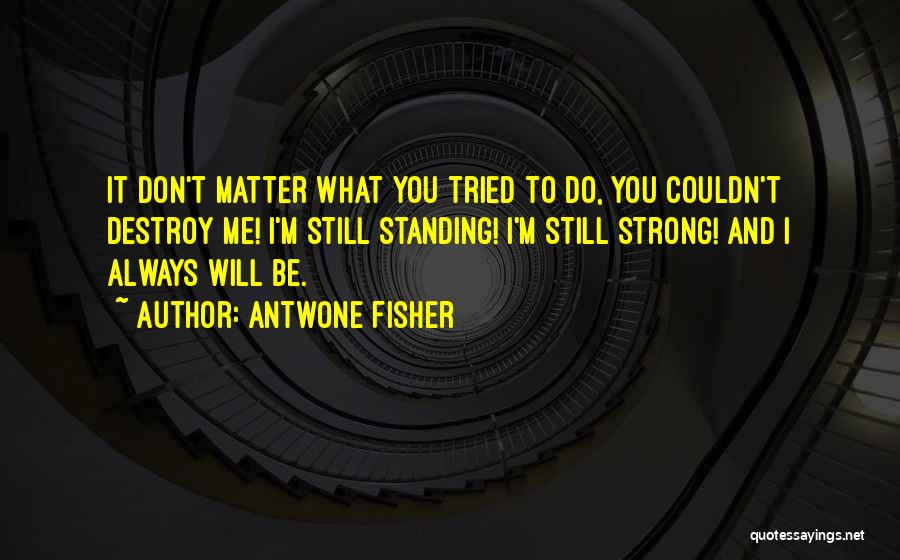 Antwone Fisher Quotes: It Don't Matter What You Tried To Do, You Couldn't Destroy Me! I'm Still Standing! I'm Still Strong! And I