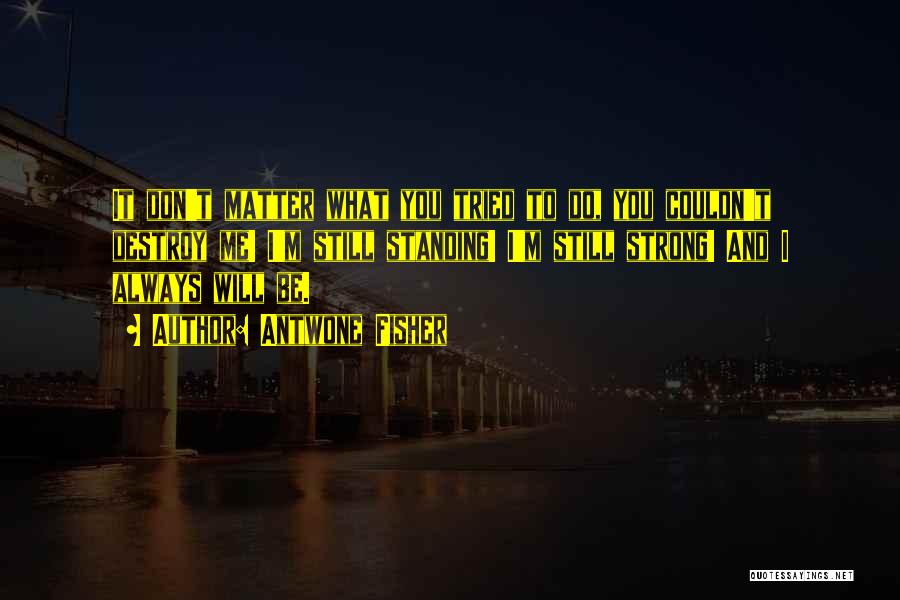 Antwone Fisher Quotes: It Don't Matter What You Tried To Do, You Couldn't Destroy Me! I'm Still Standing! I'm Still Strong! And I