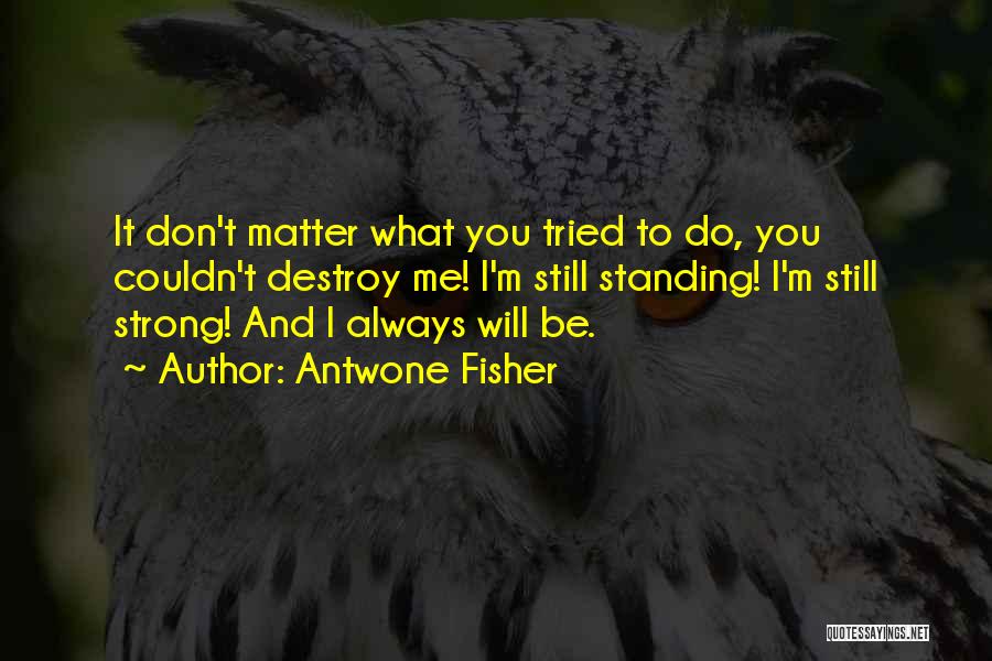 Antwone Fisher Quotes: It Don't Matter What You Tried To Do, You Couldn't Destroy Me! I'm Still Standing! I'm Still Strong! And I