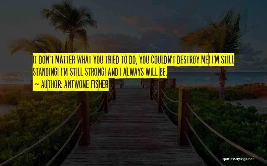 Antwone Fisher Quotes: It Don't Matter What You Tried To Do, You Couldn't Destroy Me! I'm Still Standing! I'm Still Strong! And I