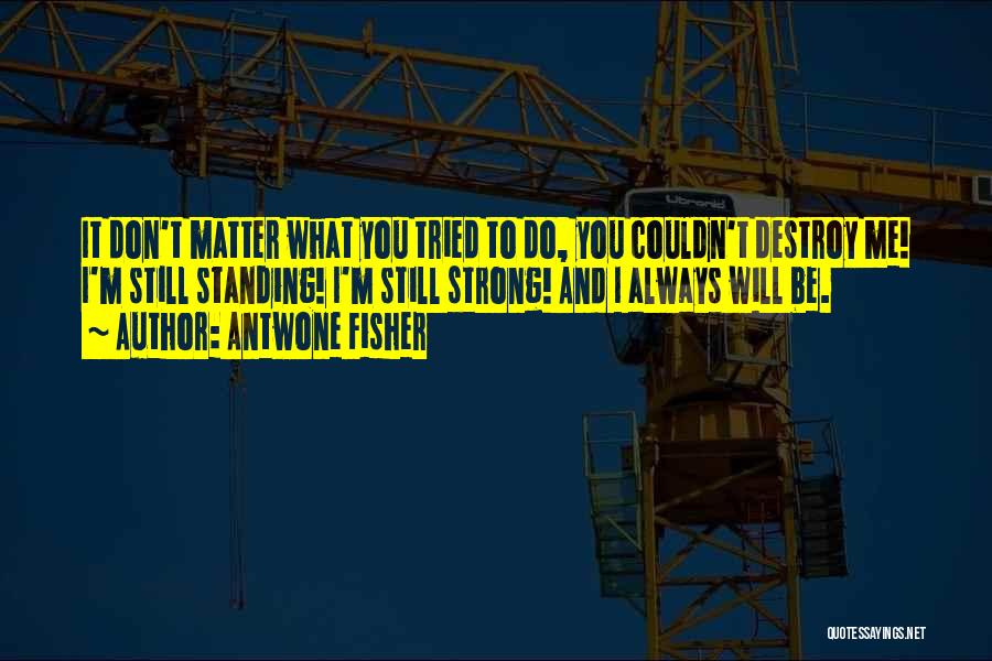 Antwone Fisher Quotes: It Don't Matter What You Tried To Do, You Couldn't Destroy Me! I'm Still Standing! I'm Still Strong! And I