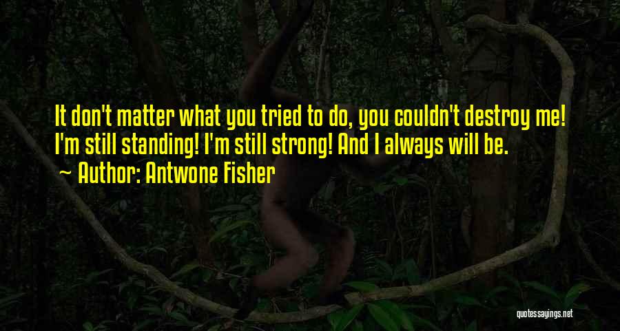 Antwone Fisher Quotes: It Don't Matter What You Tried To Do, You Couldn't Destroy Me! I'm Still Standing! I'm Still Strong! And I