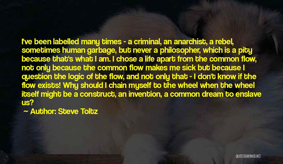 Steve Toltz Quotes: I've Been Labelled Many Times - A Criminal, An Anarchist, A Rebel, Sometimes Human Garbage, But Never A Philosopher, Which