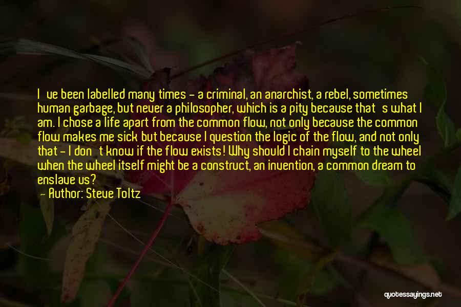 Steve Toltz Quotes: I've Been Labelled Many Times - A Criminal, An Anarchist, A Rebel, Sometimes Human Garbage, But Never A Philosopher, Which