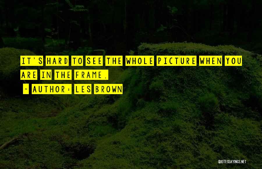 Les Brown Quotes: It's Hard To See The Whole Picture When You Are In The Frame.