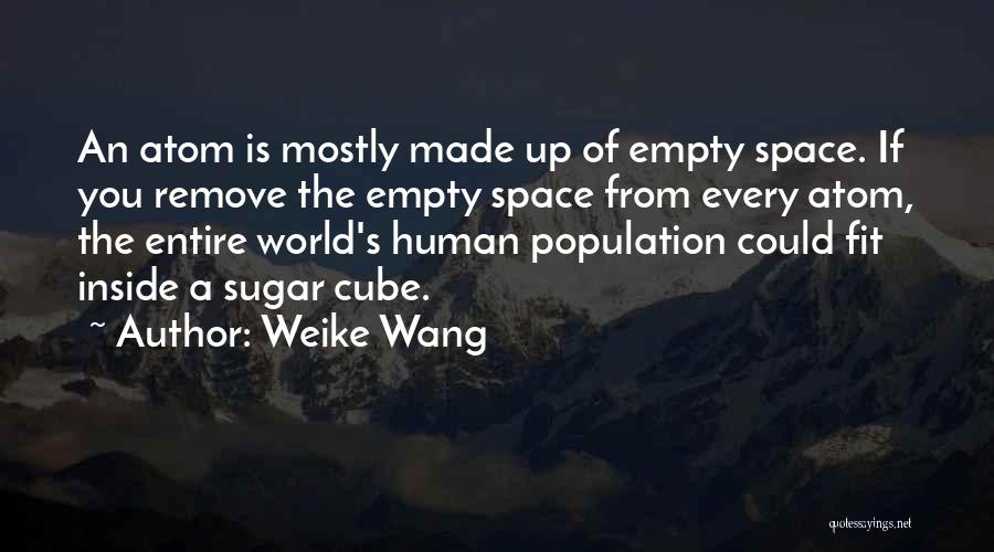 Weike Wang Quotes: An Atom Is Mostly Made Up Of Empty Space. If You Remove The Empty Space From Every Atom, The Entire