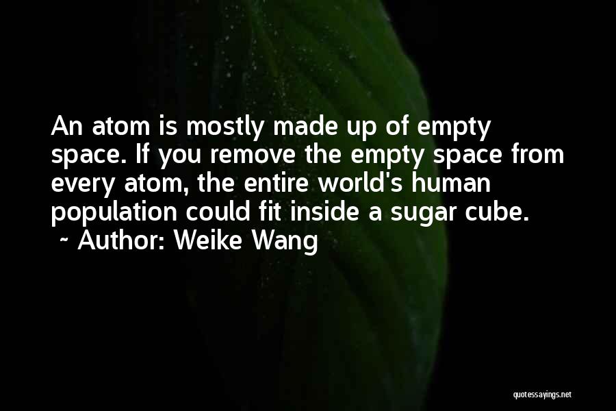 Weike Wang Quotes: An Atom Is Mostly Made Up Of Empty Space. If You Remove The Empty Space From Every Atom, The Entire