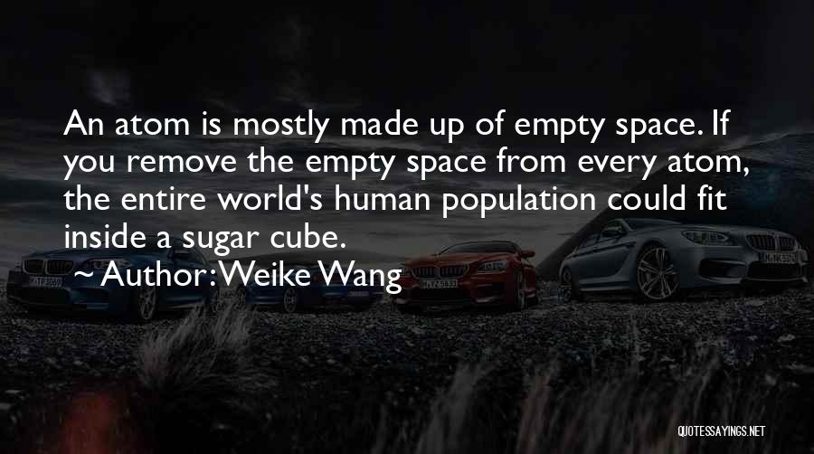 Weike Wang Quotes: An Atom Is Mostly Made Up Of Empty Space. If You Remove The Empty Space From Every Atom, The Entire