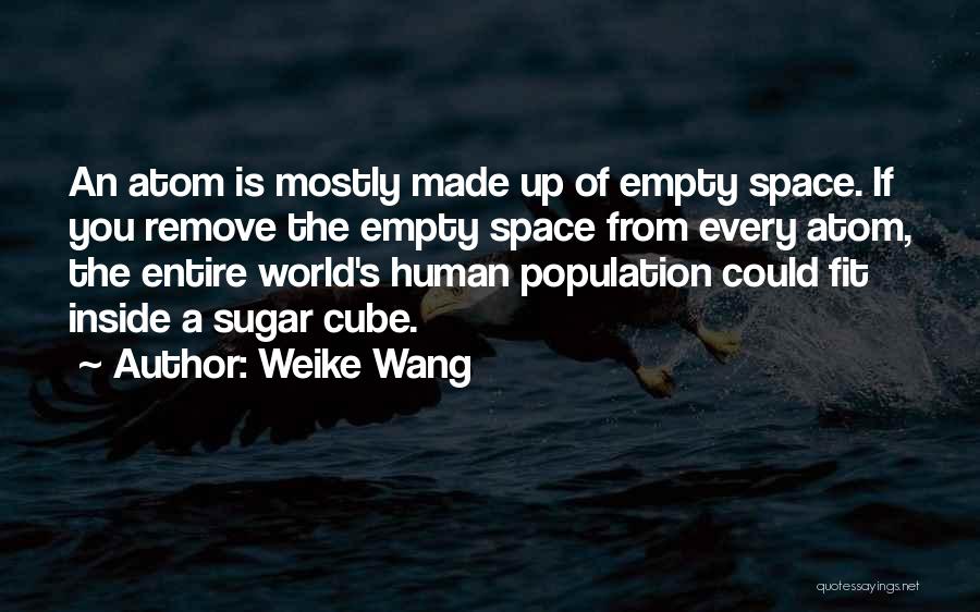 Weike Wang Quotes: An Atom Is Mostly Made Up Of Empty Space. If You Remove The Empty Space From Every Atom, The Entire