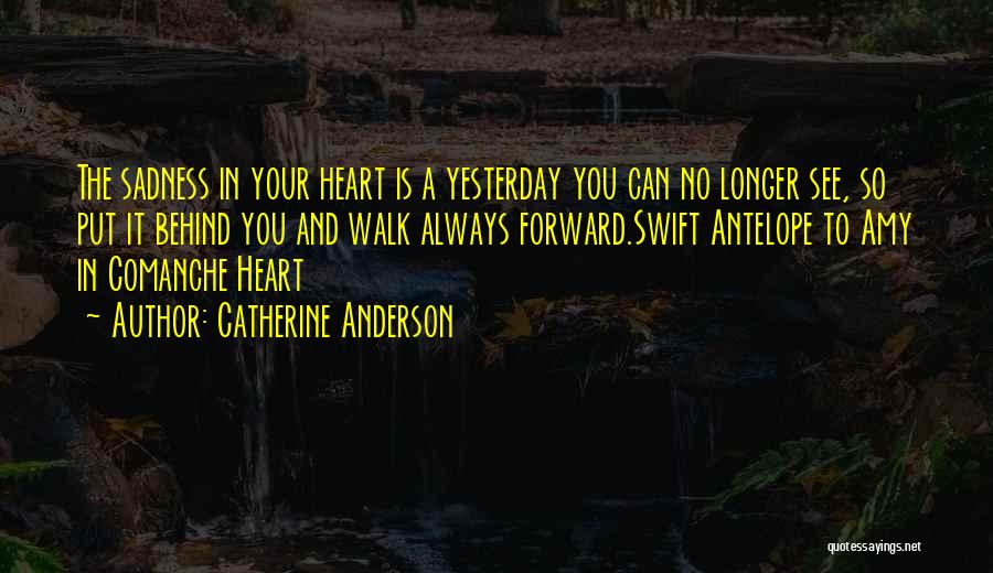 Catherine Anderson Quotes: The Sadness In Your Heart Is A Yesterday You Can No Longer See, So Put It Behind You And Walk
