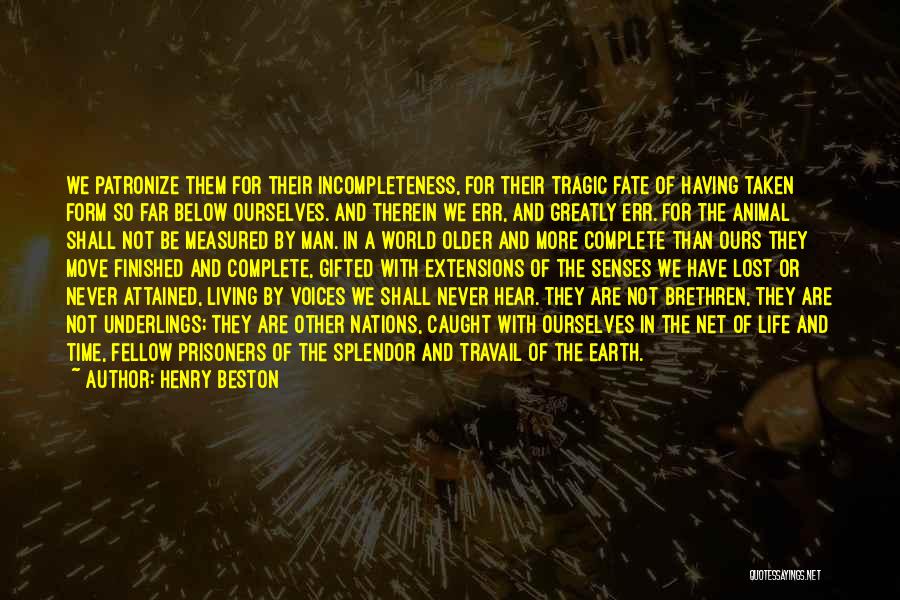 Henry Beston Quotes: We Patronize Them For Their Incompleteness, For Their Tragic Fate Of Having Taken Form So Far Below Ourselves. And Therein