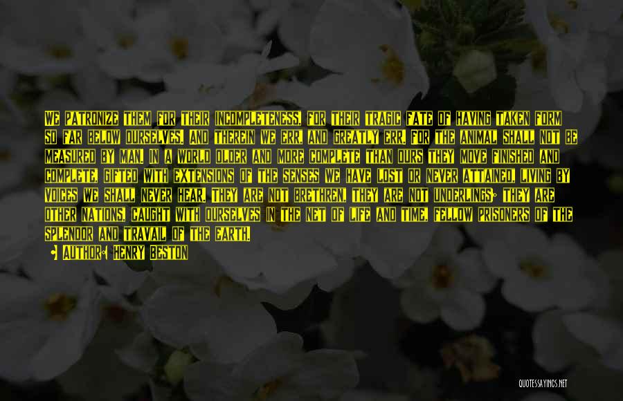 Henry Beston Quotes: We Patronize Them For Their Incompleteness, For Their Tragic Fate Of Having Taken Form So Far Below Ourselves. And Therein