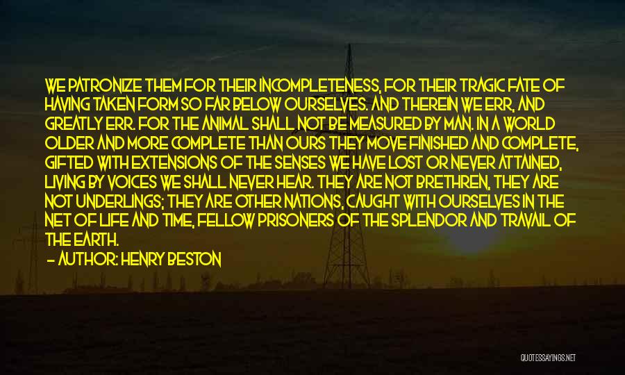 Henry Beston Quotes: We Patronize Them For Their Incompleteness, For Their Tragic Fate Of Having Taken Form So Far Below Ourselves. And Therein