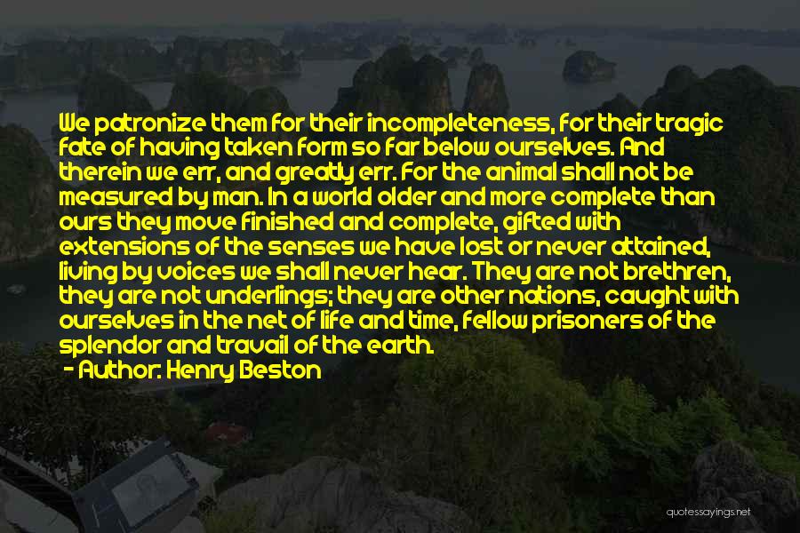 Henry Beston Quotes: We Patronize Them For Their Incompleteness, For Their Tragic Fate Of Having Taken Form So Far Below Ourselves. And Therein