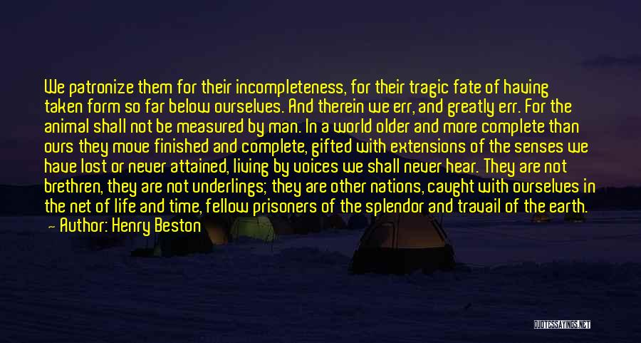 Henry Beston Quotes: We Patronize Them For Their Incompleteness, For Their Tragic Fate Of Having Taken Form So Far Below Ourselves. And Therein