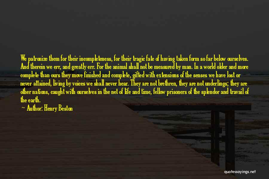 Henry Beston Quotes: We Patronize Them For Their Incompleteness, For Their Tragic Fate Of Having Taken Form So Far Below Ourselves. And Therein