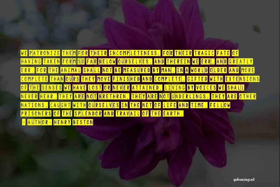 Henry Beston Quotes: We Patronize Them For Their Incompleteness, For Their Tragic Fate Of Having Taken Form So Far Below Ourselves. And Therein