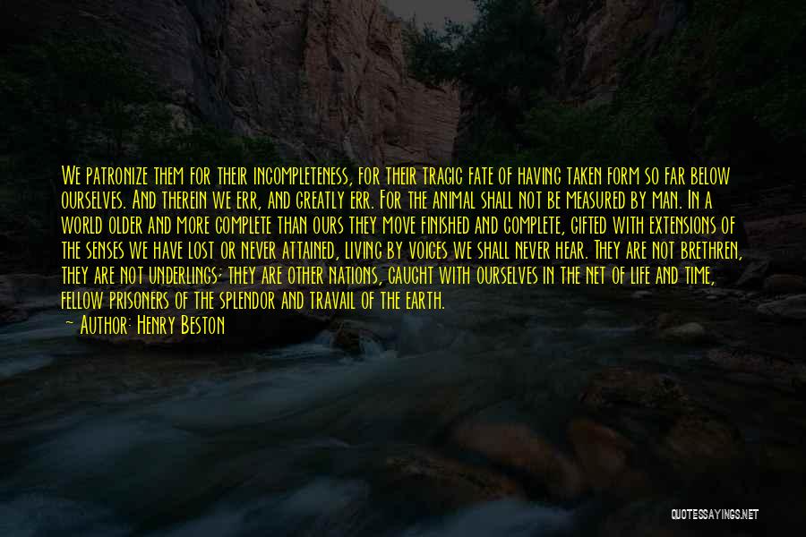 Henry Beston Quotes: We Patronize Them For Their Incompleteness, For Their Tragic Fate Of Having Taken Form So Far Below Ourselves. And Therein