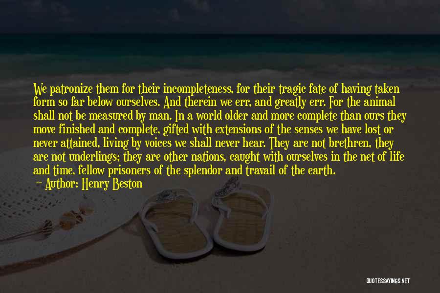 Henry Beston Quotes: We Patronize Them For Their Incompleteness, For Their Tragic Fate Of Having Taken Form So Far Below Ourselves. And Therein