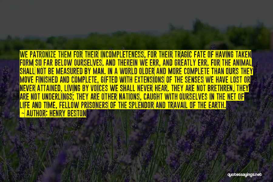 Henry Beston Quotes: We Patronize Them For Their Incompleteness, For Their Tragic Fate Of Having Taken Form So Far Below Ourselves. And Therein