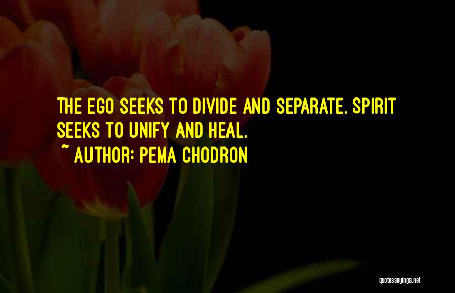 Pema Chodron Quotes: The Ego Seeks To Divide And Separate. Spirit Seeks To Unify And Heal.