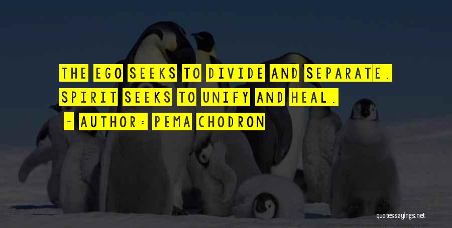 Pema Chodron Quotes: The Ego Seeks To Divide And Separate. Spirit Seeks To Unify And Heal.