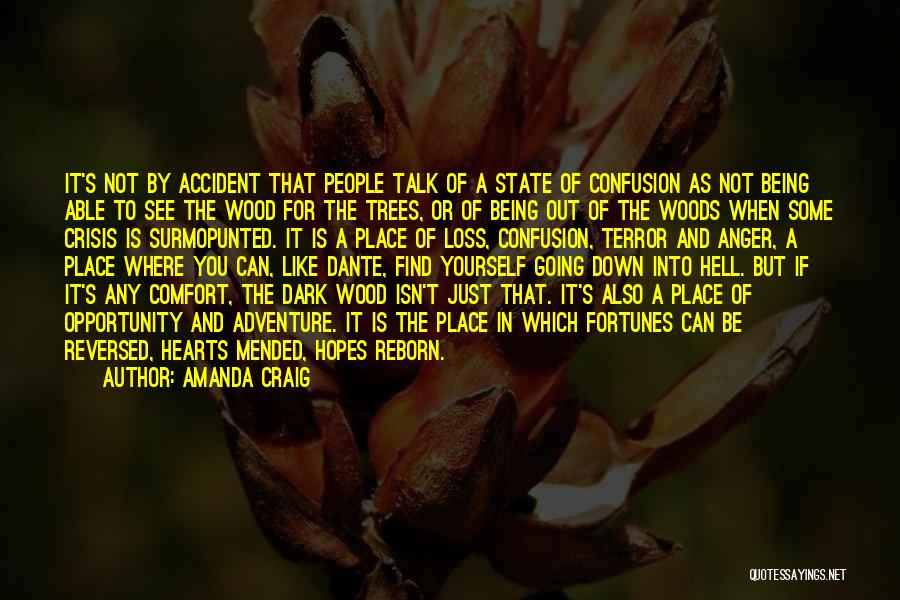 Amanda Craig Quotes: It's Not By Accident That People Talk Of A State Of Confusion As Not Being Able To See The Wood