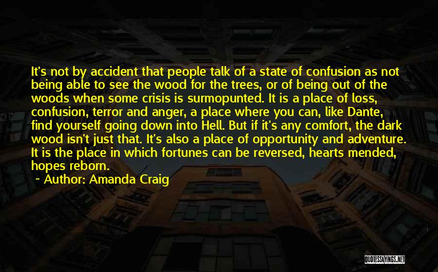 Amanda Craig Quotes: It's Not By Accident That People Talk Of A State Of Confusion As Not Being Able To See The Wood